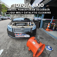 Car Service - DECARBON Bundle - AMSOIL Intake Valve Carbon Cleaning | LIQUI MOLY Catalytic System