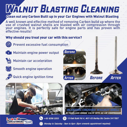PROMOTION | Walnut Blasting