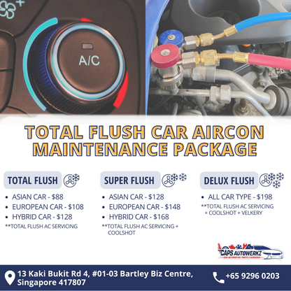 Total Flush Aircon Servicing Package