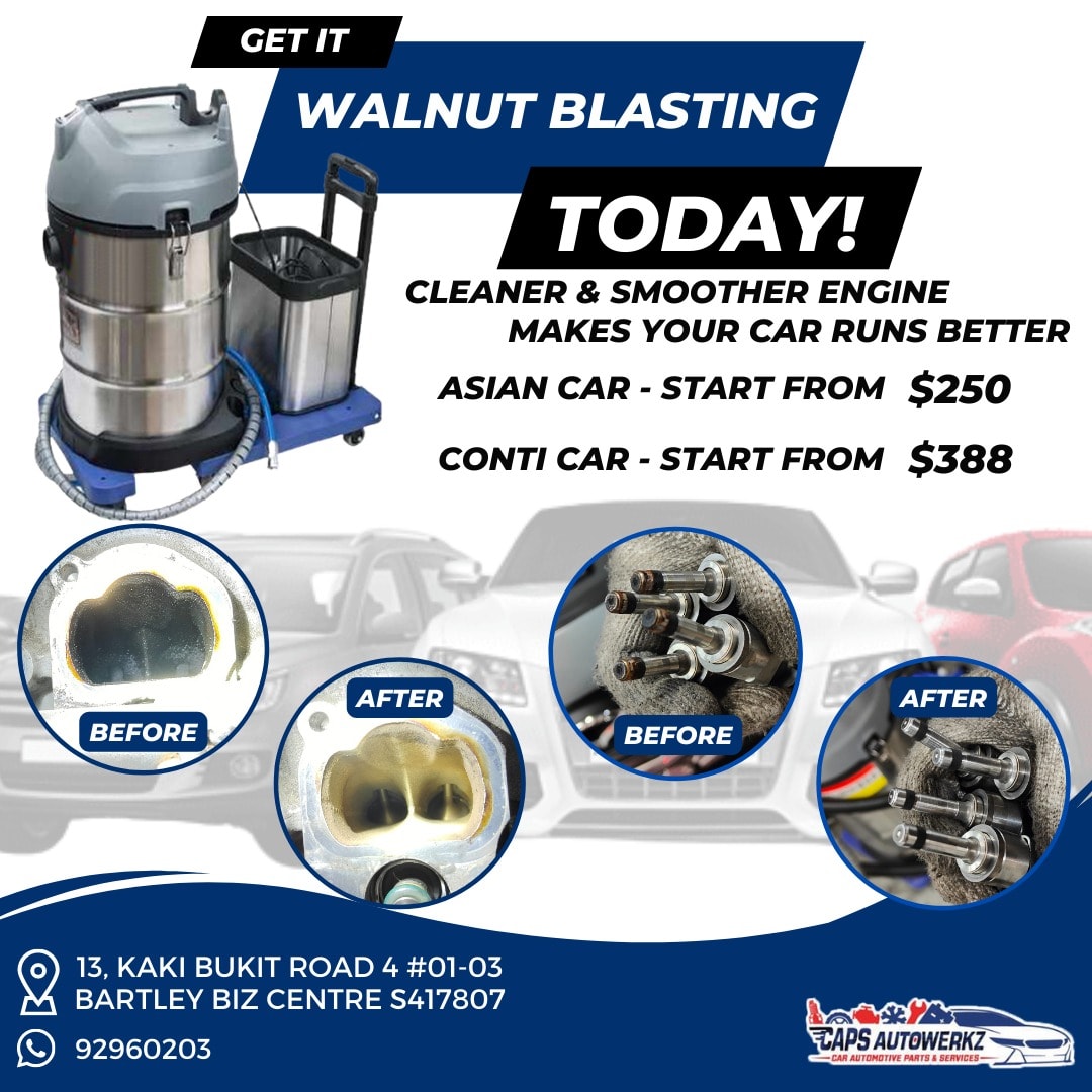 PROMOTION | Walnut Blasting