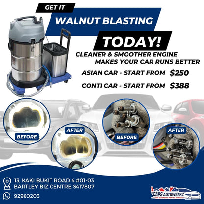 PROMOTION | Walnut Blasting